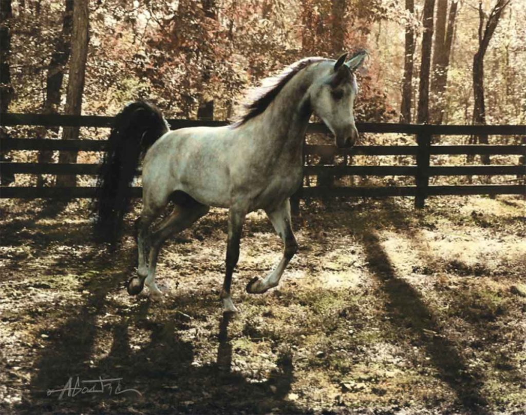 Anne Goetze horse mix media painting from Beloved Country art series.