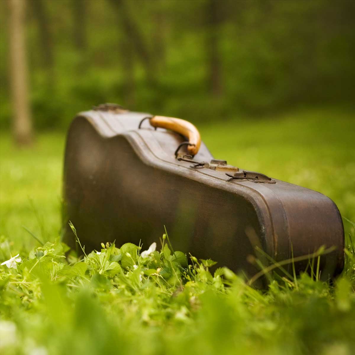 Instrument case in grass