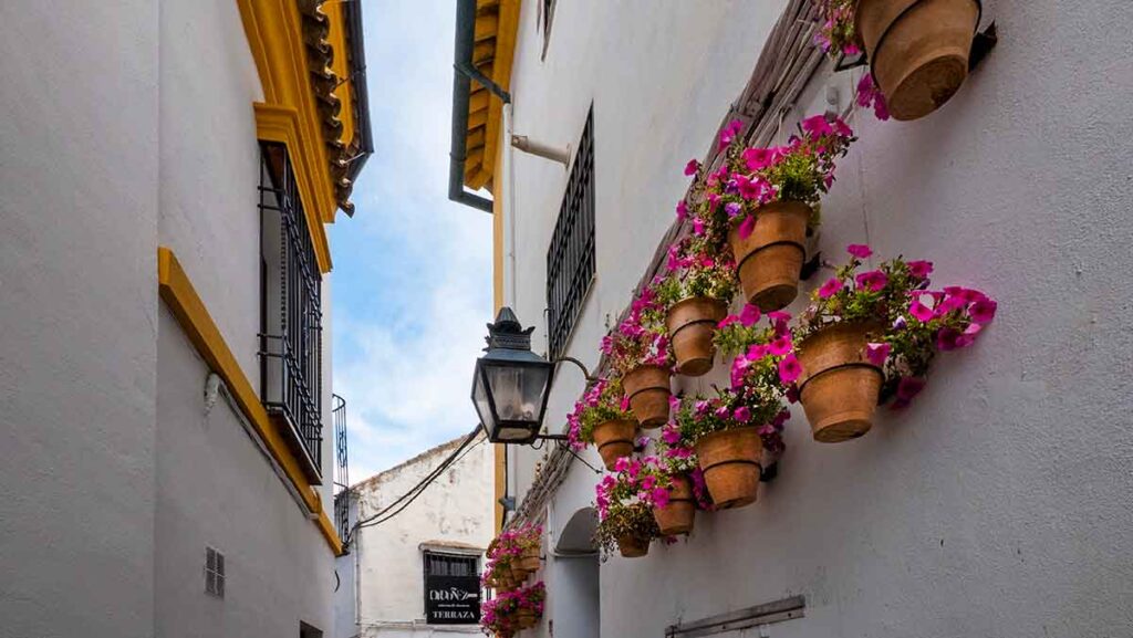 Building with pink flowers in Cordoba, Spain